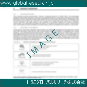グローバルリサーチ調査資料のイメージ